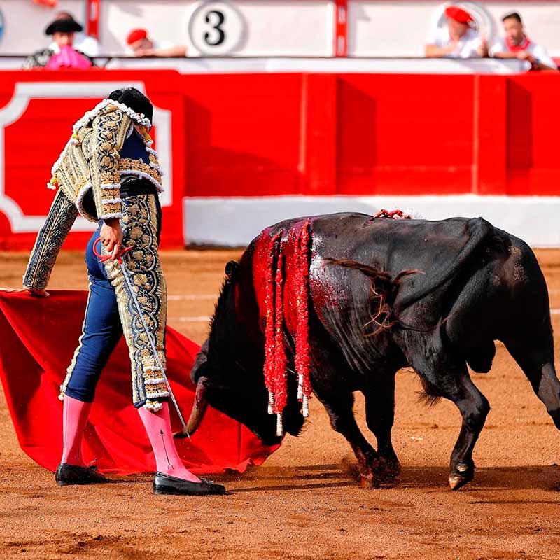 toros Santander 2024