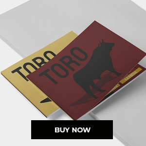 Buy now, bullfighting book