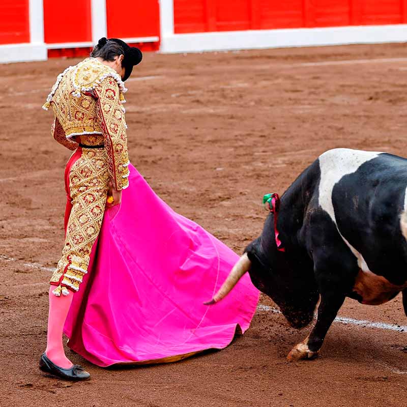 taquilla plaza de toros Santander