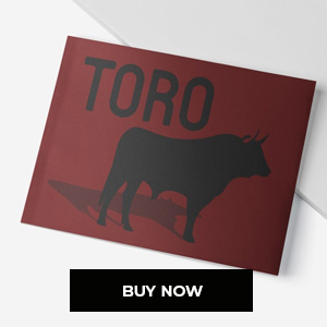 Toro book. Mini bullfighting encyclopedia