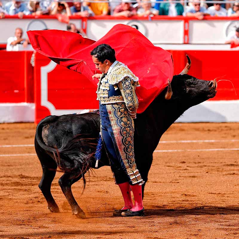 carteles Santander toros