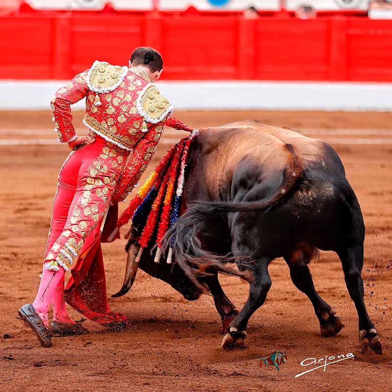 feria de Santiago Santander 2024 toros