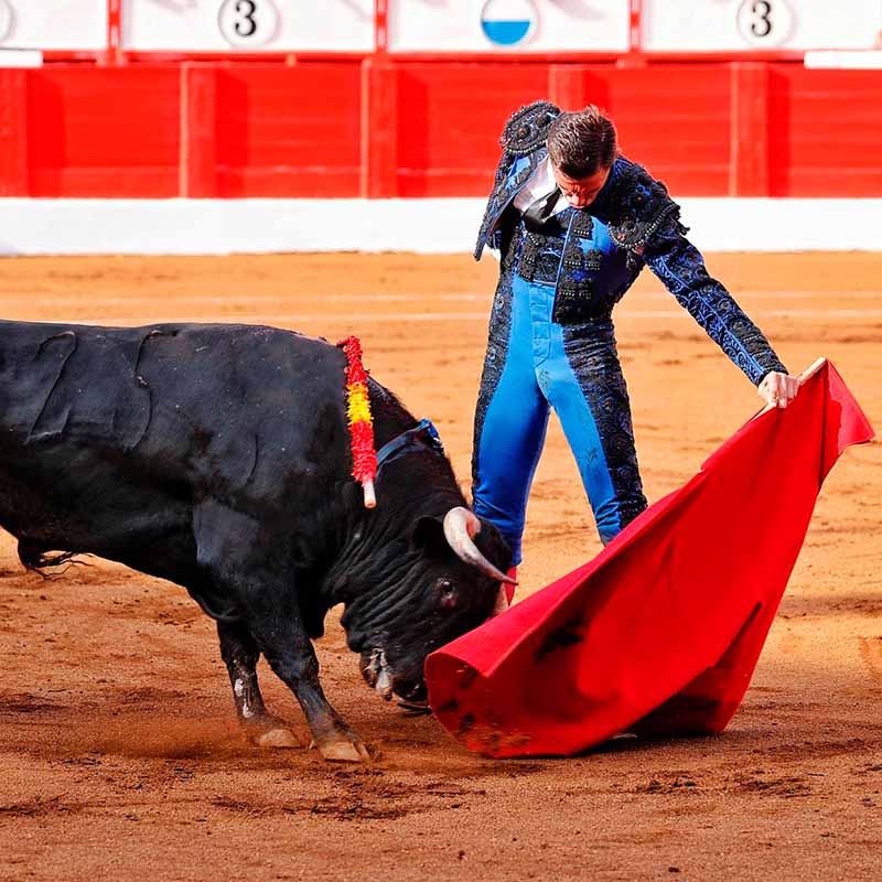 plaza de toros Santander