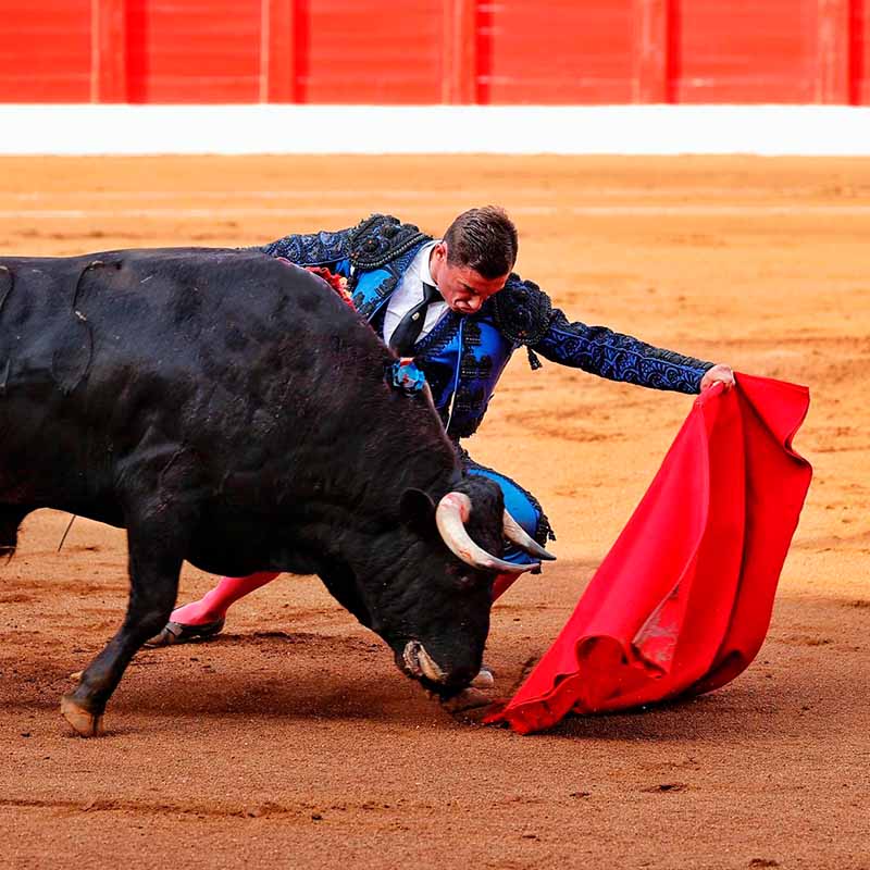 plaza de toros Santander